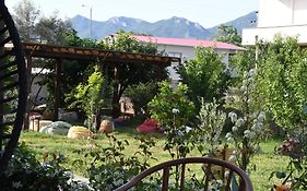 Guesthouse 